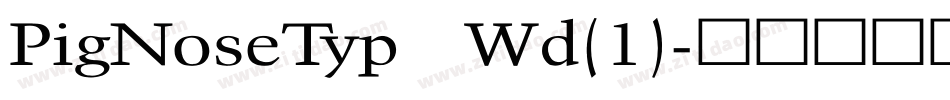 PigNoseTyp Wd(1)字体转换